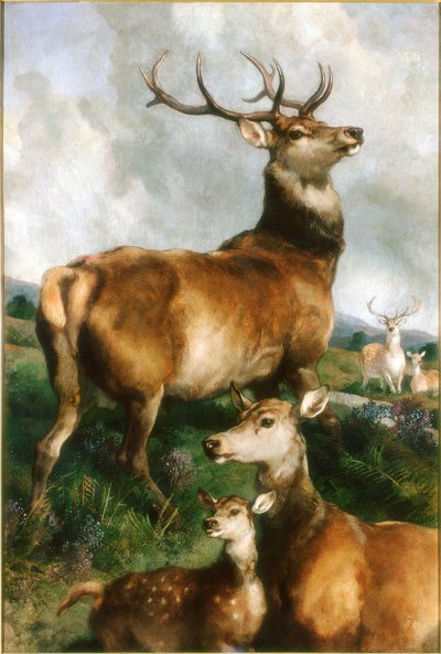 Deer of Chillingham Park, Northumberland by Edwin Landseer